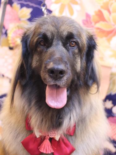 20240123シェリーちゃん